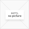 480ml WICKED Color Standard Ton | Sonderbestellung